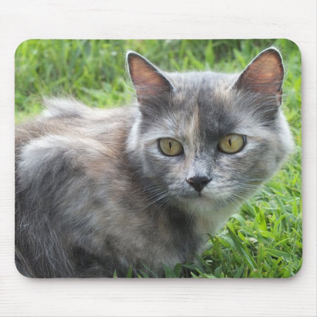 Blue Cream -Tortie Kitty Mouse Pad (Front)
