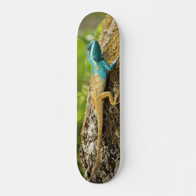Blue-Crested Lizard Calotes Mystaceus Skateboard (Front)
