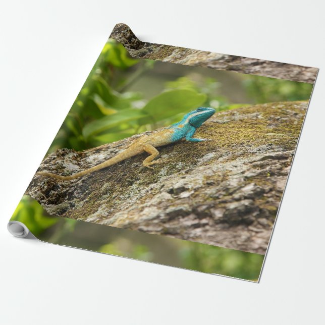 Blue-Crested Lizard Calotes Mystaceus Wrapping Paper (Unrolled)