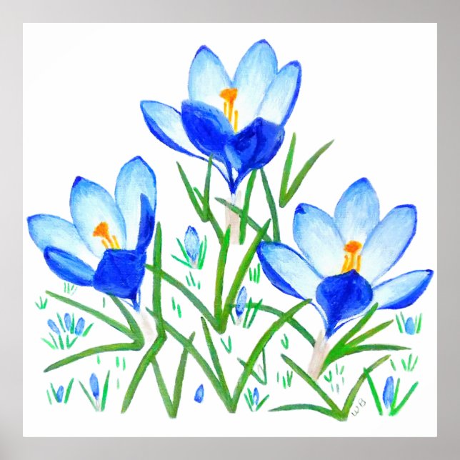 Blue Crocus Flowers Print (Front)