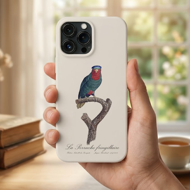 Blue-Crowned Lorikeet, Vini Australis Case-Mate iPhone Case (Blue-Crowned Lorikeet, Vini Australis. iPhone Case)