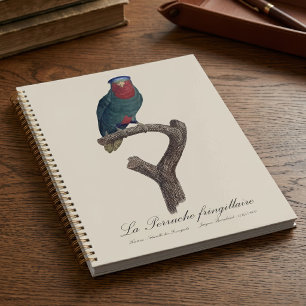 Blue-Crowned Lorikeet, Vini Australis Planner