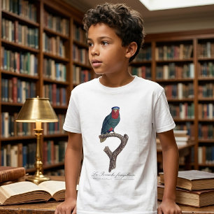 Blue-Crowned Lorikeet, Vini Australis T-Shirt