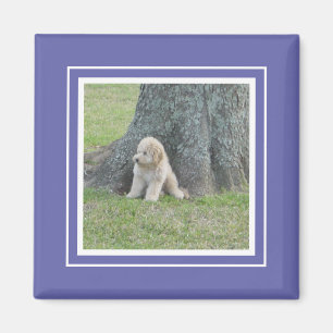 Blue Custom Cute Photo Template Stylish Magnet