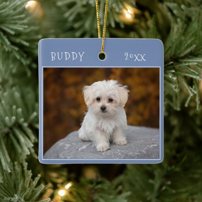 Blue Cute 2 Dog Pet 2 Photos and Names Christmas Ceramic Ornament (Tree)