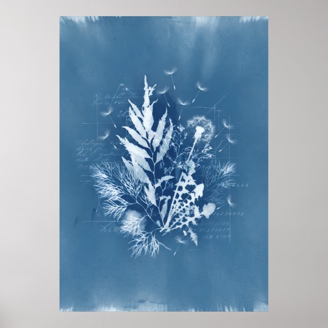 Blue Cyanotype Seaweed Dandelion Botanical Art Poster (Front)
