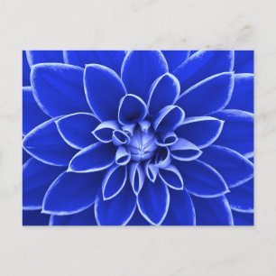 Blue dahlia flower postcard