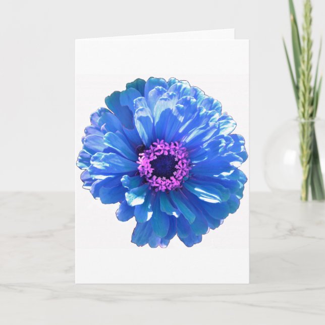 Blue daisy blue floral photo card (Front)