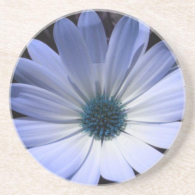 Blue Daisy Flower Coasters (Front)
