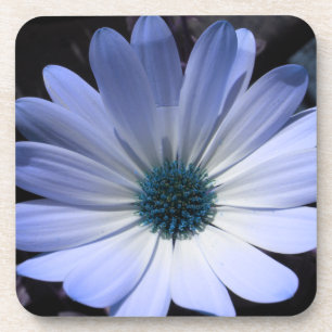 Blue Daisy Flower Cork Coaster
