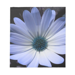 Blue Daisy Flower Notepad