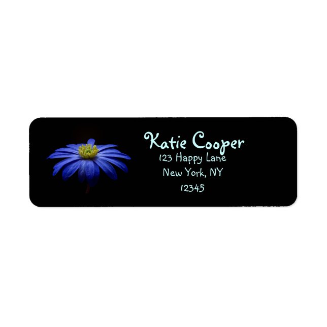 Blue Daisy Gerbera Flower on a Black background (Front)