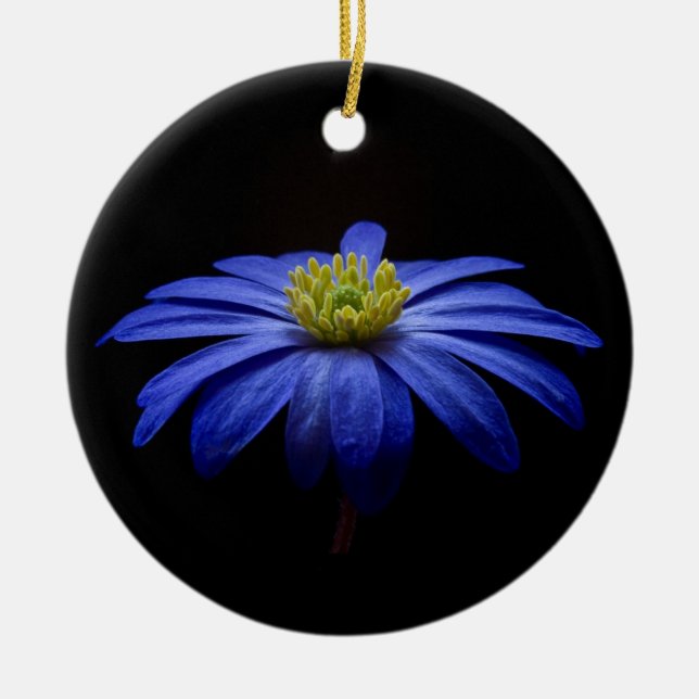 Blue Daisy Gerbera Flower on a Black background Ceramic Tree Decoration (Front)