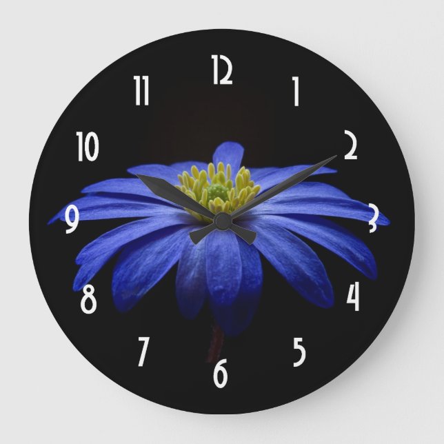Blue Daisy Gerbera Flower on a Black background Large Clock (Front)