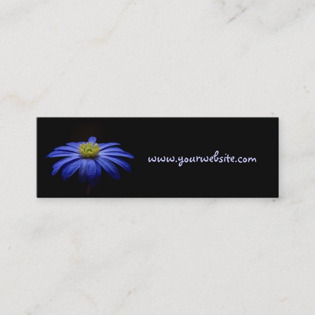 Blue Daisy Gerbera Flower on a Black background Mini Business Card (Front)