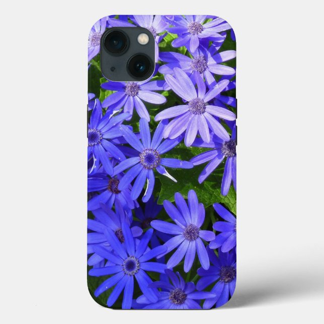 Blue Daisy-like Flowers Nature Photography Case-Mate iPhone Case (Back)