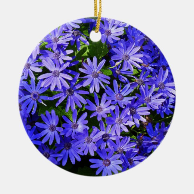 Blue Daisy-like Flowers Nature Photography Ceramic Tree Decoration (Front)