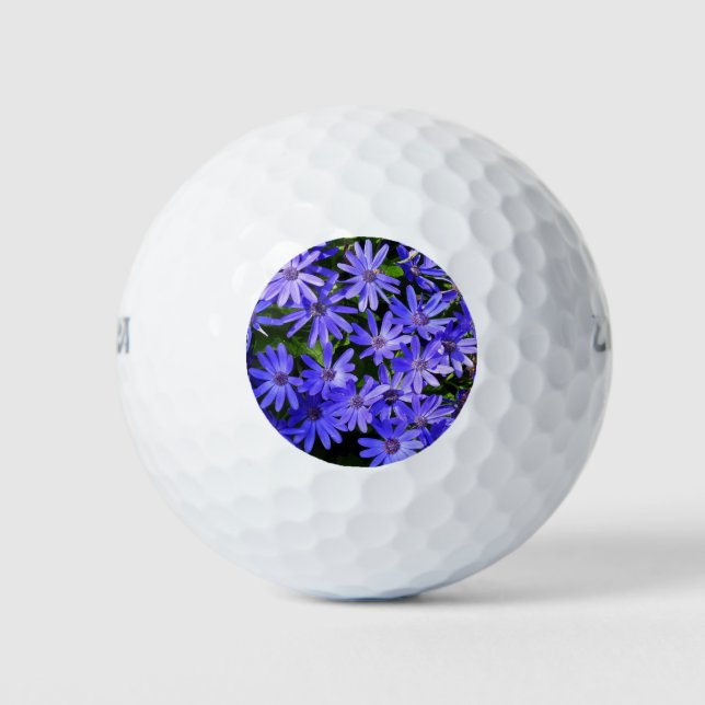 Blue Daisy-like Flowers Nature Photography Golf Balls (Front)