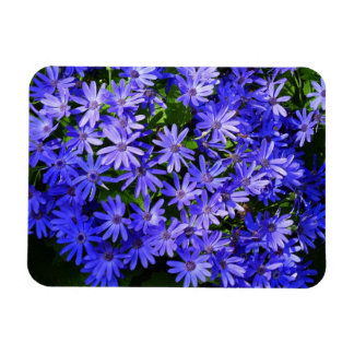 Blue Daisy-like Flowers Nature Photography Magnet