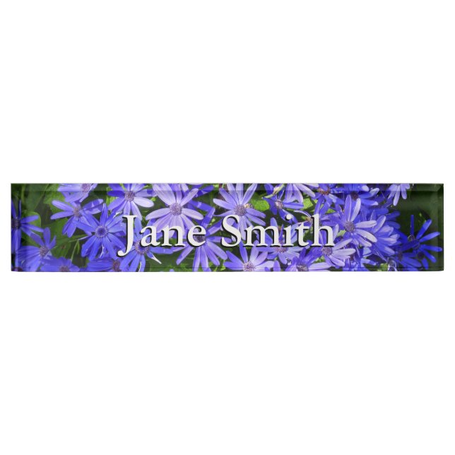 Blue Daisy-like Flowers Nature Photography Nameplate (Front)