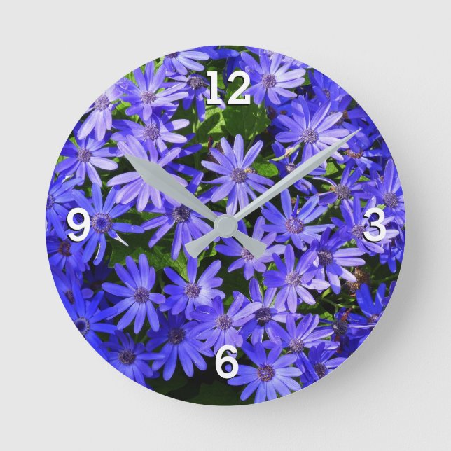 Blue Daisy-like Flowers Nature Photography Round Clock (Front)