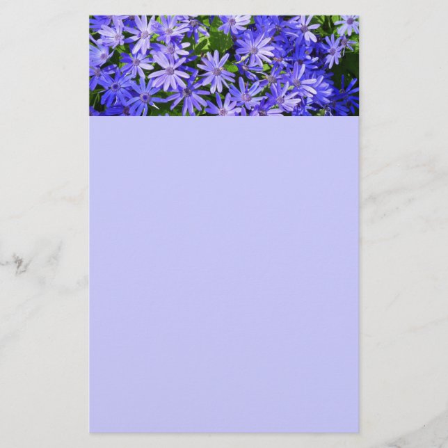 Blue Daisy-like Flowers Nature Photography Stationery (Front)