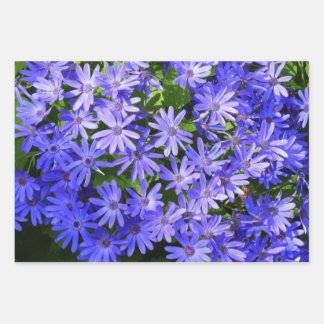 Blue Daisy-like Flowers Nature Photography Wrapping Paper Sheet