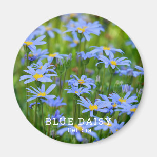 Blue Daisy Magnet