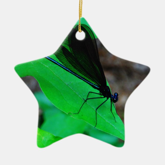 Blue Damselfly on a green leaf. Ceramic Tree Decoration (Front)