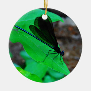 Blue Damselfly on a green leaf. Ceramic Tree Decoration