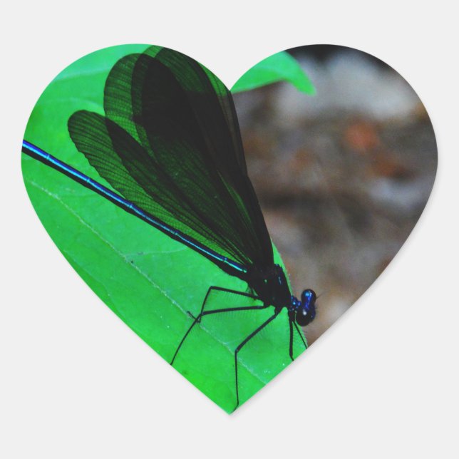 Blue Damselfly on a green leaf. Heart Sticker (Front)