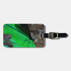 Blue Damselfly on a green leaf. Luggage Tag