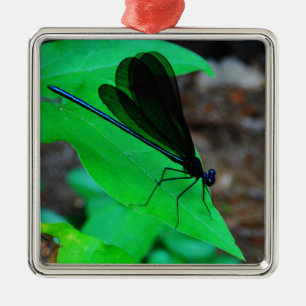 Blue Damselfly on a green leaf. Metal Tree Decoration