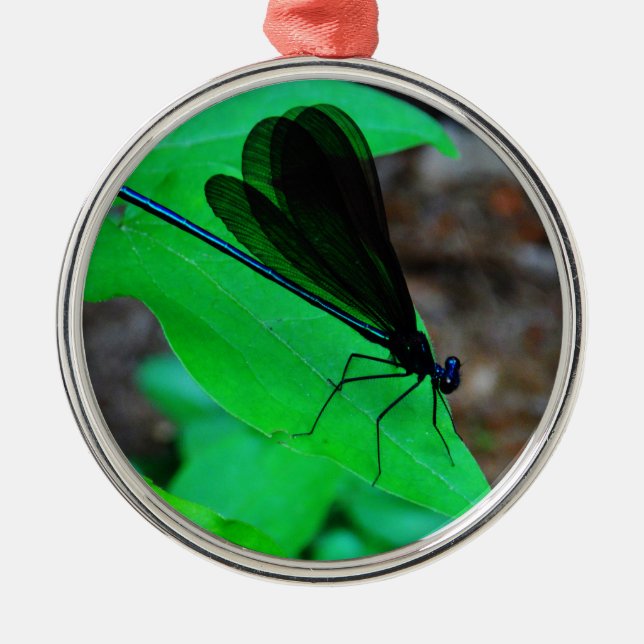 Blue Damselfly on a green leaf. Metal Tree Decoration (Front)