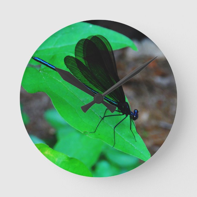 Blue Damselfly on a green leaf. Round Clock (Front)