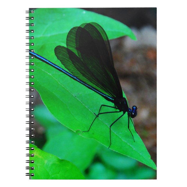 Blue Damselfly on a green leaf. Spiral Notebook (Front)