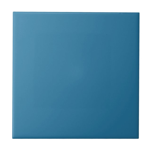 Blue Danube Square Kitchen and Bathroom  Tile (Front)