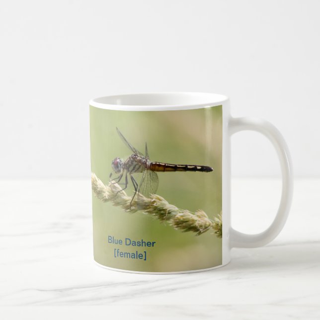 Blue Dasher Mug (Right)
