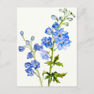 Blue delphiniums in watercolor postcard