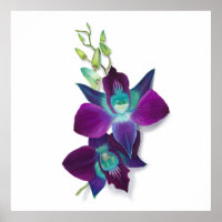 Blue Dendrobium or Blue Bom Orchid Painting