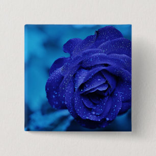 Blue Dewdrop Rose 15 Cm Square Badge