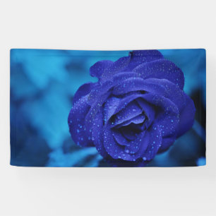 Blue Dewdrop Rose Banner