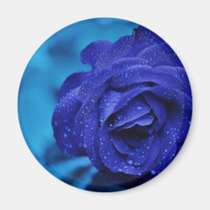 Blue Dewdrop Rose Magnet