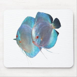 Blue Diamond Discus fish のマウスパッド,No. Mouse Pad
