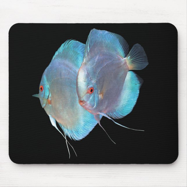 Blue Diamond Discus fish ,No.01 Mouse Pad (Front)