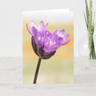 Blue Dick Wildflower Card