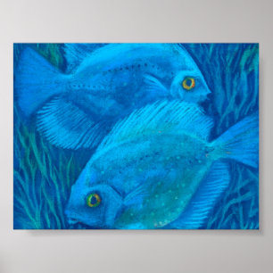 Blue Discuses, Tropical Fish Underwater Animal Art Poster