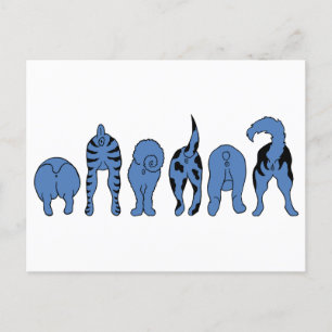 Blue Dog Butts Postcard