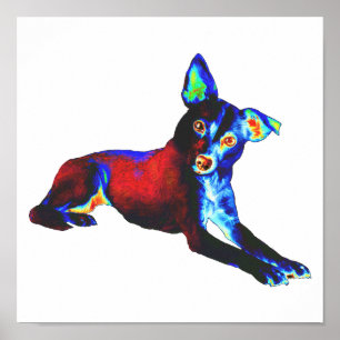 Blue Dog Poster