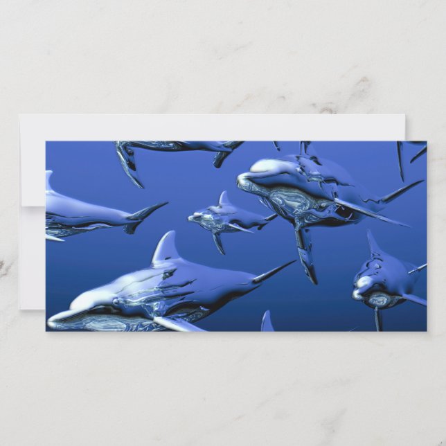 Blue Dolphin (Front)